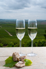 Glasses of brut champagne wine, firestones from vineyards soil and view on grand cru vineyards of Montagne de Reims near Verzenay, Champagne, France