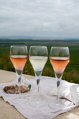 Glasses of white and rose brut champagne wine and examples of vineyard soils, white chalk stones and firestones and view on grand cru vineyards of  Montagne de Reims near Verzenay, Champagne, France