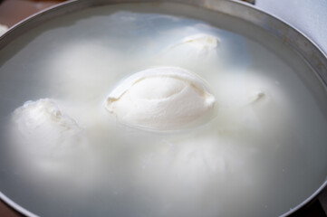White balls of Italian soft cheese Mozzarella di Bufala Campana on Italian cheese farm, Campania, Italy