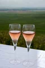 Tasting of rose brut champagne wine with view on green pinot noir grand cru vineyards of famous champagne houses in Montagne de Reims near Verzenay, Champagne, France