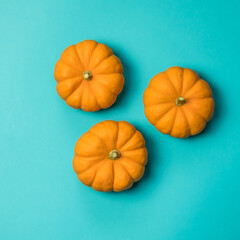 Mini orange pumpkins on teal backdrop