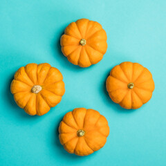 Mini orange pumpkins on teal backdrop