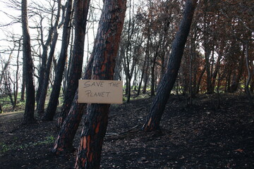  Sign with the inscription let's save the planet attached to a tree in a burnt forest