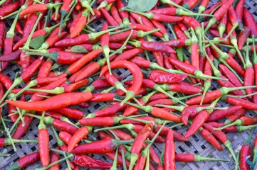 red chili on bamboo basket