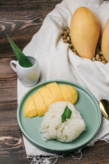 Fresh ripe mango and sticky rice with coconut milk. Famous Thai dessert for the summer season.