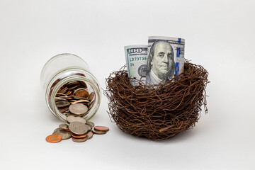 Bird nest with 100 dollar bills. Financial nest egg, retirement savings and investment concept