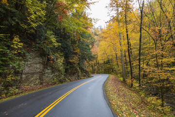 Fototapeta premium Road in the Great Smoky Mountains National Park with fall foliage