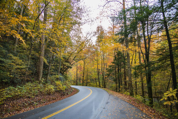 Road in the Great Smoky Mountains National Park with fall foliage
