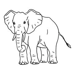 Elephant in doodle style. Isolated vector.