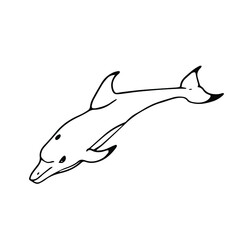 Dolphin in doodle style. Isolated vector.
