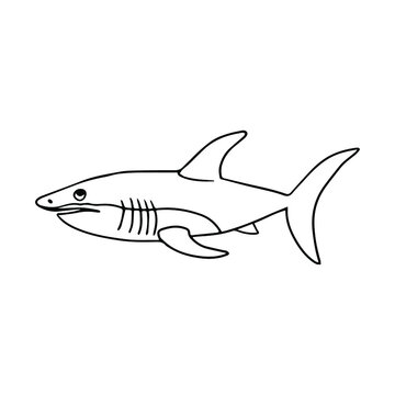 Shark in doodle style. Isolated clip art vector.