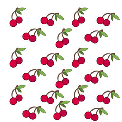 pattern of cherry on white background