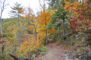 Hiking trail in the fall in the Great Smoky Mountains National Park, Tennessee