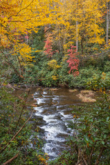 Stream in the fall in Great Smoky Mountains National Park, Tennessee
