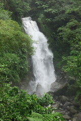 the spectacular trafalgar falls in the lush  rain forest of dominica in the caribbean sea