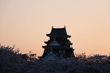 Naklejka premium 旭川から見る岡山城と桜の夕焼け