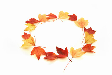 가을,낙엽,나뭇잎,단풍,단풍잎,자연,풍경,계절,동그라미,모양
