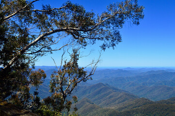 Obraz na płótnie Canvas A view of the New England Highlands from Point Lookout on the Waterfall Way, NSW