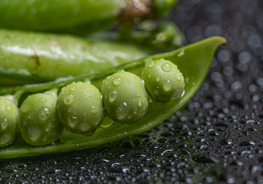 Vaina Bilder Durchsuchen 989 Archivfotos, und Videos