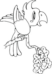 vector Cute cartoon parrot