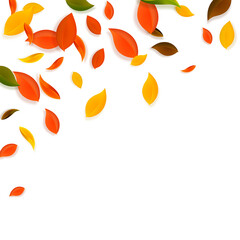 Fototapeta premium Falling autumn leaves. Red, yellow, green, brown c