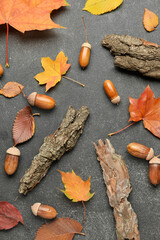 Autumn composition with tree bark, leaves and acorns on dark background, closeup