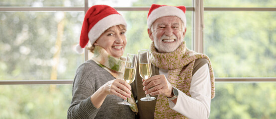 Cheerful senior couple clinking wineglasses