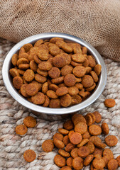 bowl of dried dogfood pellets with copy space