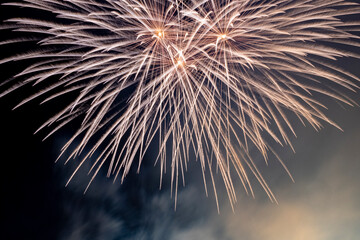 Fireworks on the background of a dark sky. 