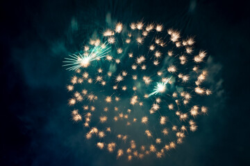 Fireworks on the background of a dark sky. 