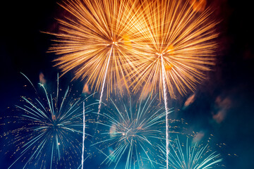 Fireworks on the background of a dark sky. 