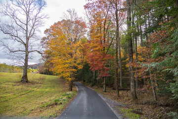 Fototapeta premium Cades Cove Loop Road, Fall foliage in Great Smoky Mountains National Park, Tennessee
