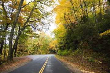 Fototapeta premium Two lane road in the Great Smoky Mountains National Park with fall foliage