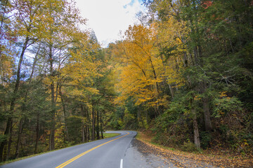 Two lane road in the Great Smoky Mountains National Park with fall foliage