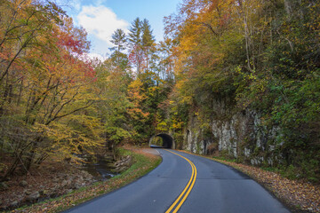 Fototapeta premium Tunnel in the Great Smoky Mountains National Park with fall foliage