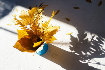 Flatlay autumn white background with a bouquet of yellow dry acacia and maple leaves. Top view, hard light and shadows
