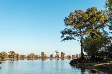 Scenic view of the Bayous in Louisiana