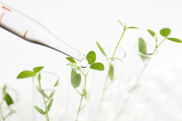 研究イメージ　バイオテクノロジー