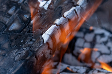 Bonfire flames and burning logs. Fire disaster. Fire in the fireplace.