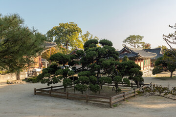 temple garden