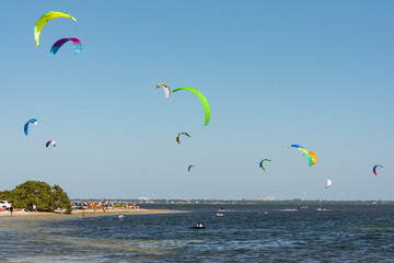 Kite surfers in the bay of Saint Petersburg, Florida