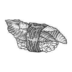 Sushi with eel. Hand drawn vector illustration.