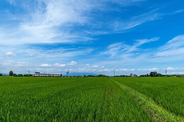 【青森県津軽平野】津軽富士岩木山を眺めながら津軽平野を走る田んぼ鉄道（弘南鉄道）