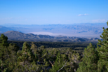 Mount Charleston: View of the Desert