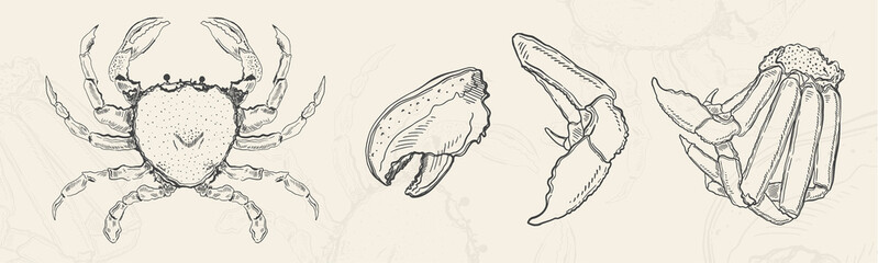 Illustration sketch food.Hand drawn element design menu. Isolated object in white background