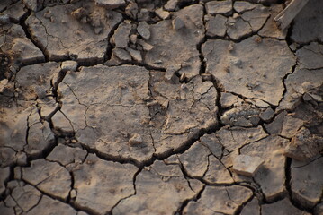 dry cracked earth