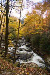 Cascading mountain stream in the fall Great Smoky Mountains National Park