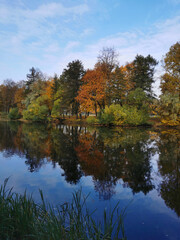 Fototapeta na wymiar Autumn in the park. Trees with yellowing leaves grow around the pond and are reflected in its water.
