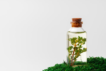 Cosmetics in a bottle, essential oil on moss - obrazy, fototapety, plakaty