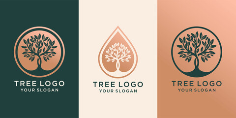 set of logo tree and Drops or water combined with tree. logo design Premium Vector